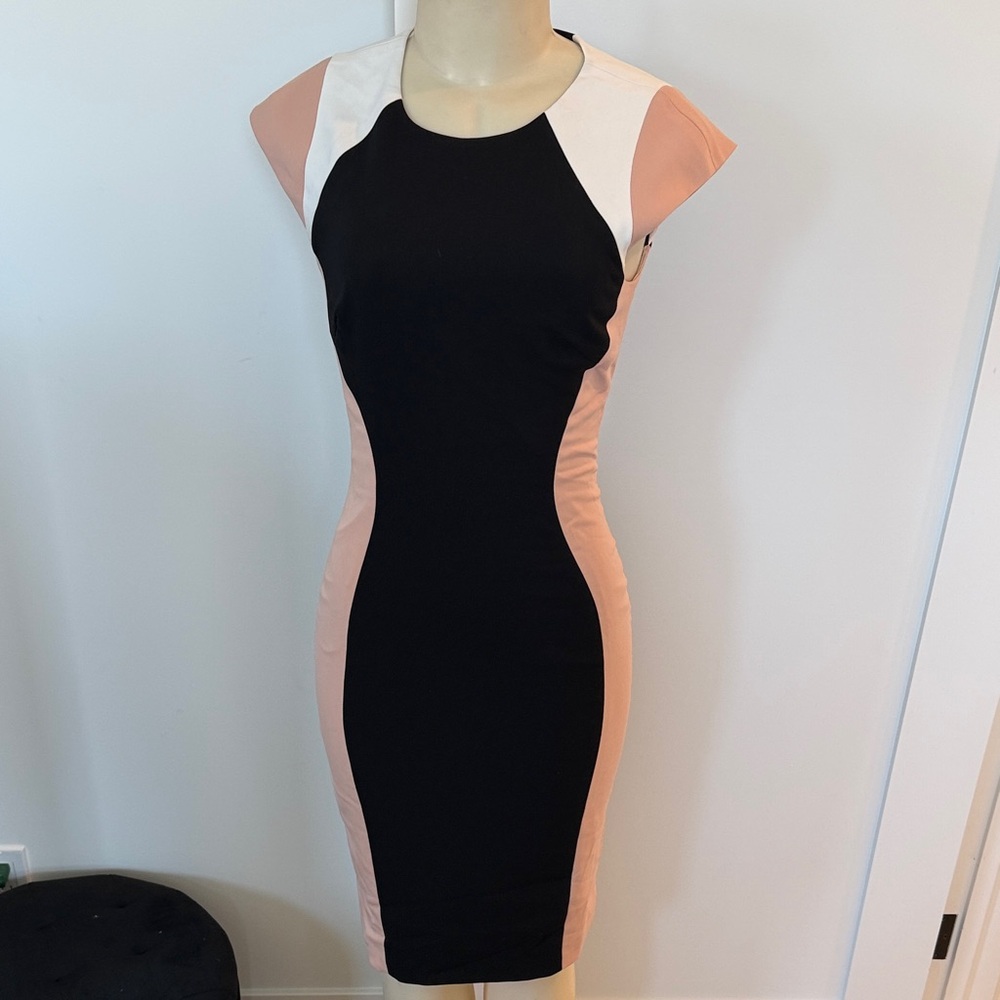 JAYGODFREY Black and Pink Mini Dress